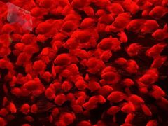 -多彩贵州城极地海洋世界