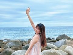 -广东惠东海龟国家级自然保护区