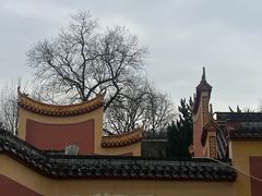 -岳麓山风景名胜区