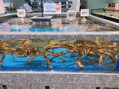 -盒马鲜生(皇庭广场店)