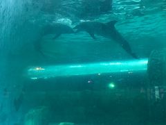 -波塞冬旅游度假区