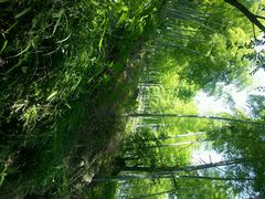 android_upload_pic-藏龙百瀑风景区