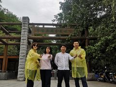 -牛背梁国家森林公园