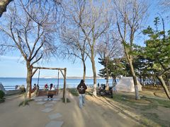 -悦海公园