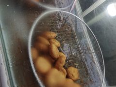 白糖炸糕-厚富香面食店王好炸糕(延安路店)