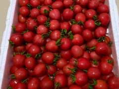 -菜园坝水果市场