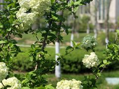 -中国银行江苏省分行培训中心