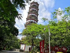 -分塔山省级森林公园