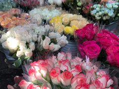 -循礼门鲜花花市(武汉循礼门店)