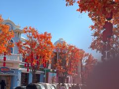 -沈阳方特欢乐世界