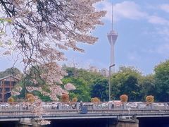 -红星桥(地铁站)