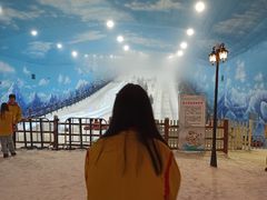 -世界之窗阿尔卑斯冰雪世界