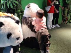 -西安秦岭野生动物园