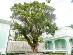 -龙环葡韵住宅式博物馆