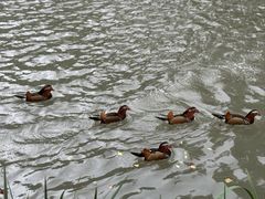 -上海动物园(地铁站)