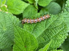 -章水镇文体中心