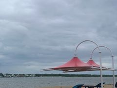 -呼兰河口湿地公园