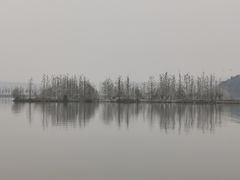 -东湖落雁景区