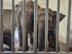 -石家庄市动物园