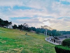 -燕儿岛山公园