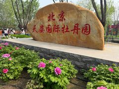 -太阳宫公园