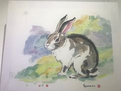 -奥加美术馆