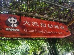 景点-成都大熊猫繁育研究基地
