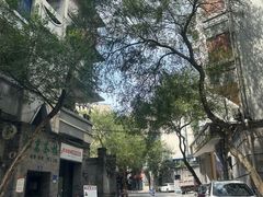 -老街无刺鲫鱼