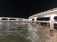 -演武大桥观景平台