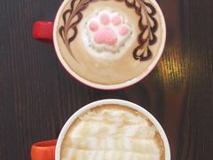 -名猫咖啡馆·撸猫·拼豆