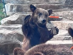 -南京金牛湖风景区