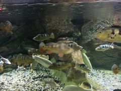 -多彩贵州城极地海洋世界