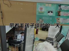 -瑞派天使宠物医院·神经外科·骨科·核磁(洛川中路店)