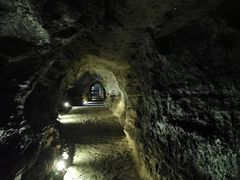 -北京上方山国家森林公园