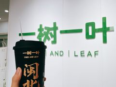 闽北乌龙-一树一叶·福建茶档(石鼓路店)