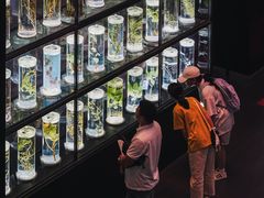 -广东中医药博物馆