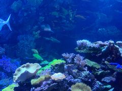 -欢乐海岸海洋奇梦馆