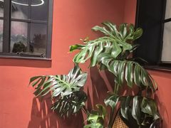 -滇野云南野生菌餐厅(陕西南路店)