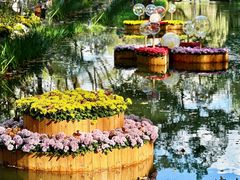 -上海共青森林公园