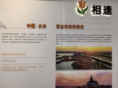 -荷兰花海