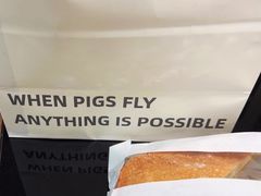 -WHEN PIGS FLY当猪飞
