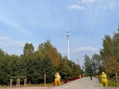 -绥化市森林植物园