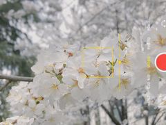 -月湖风景区
