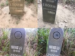 -梧桐山风景名胜区