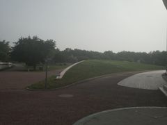 -北京国家会计学院