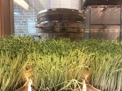 -千稻剁椒大鱼头(CityOn熙地港店)