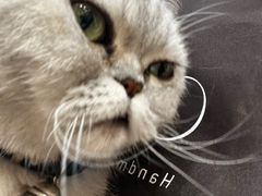 -Oasis绿洲银饰珍珠手作diy(壹方城店)