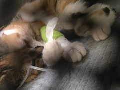 -美联众合24小时·皮肤科·外科·全科诊疗中心(华苑分院)