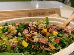 牛肉羽衣甘蓝碗里道-油梨树AVOCADO TREE(嘉里中心店)