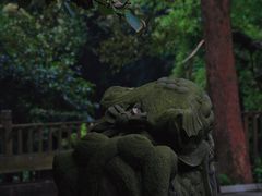 -南山植物园